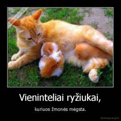 Vieninteliai ryžiukai, - kuriuos žmonės mėgsta.