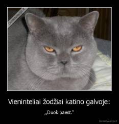Vieninteliai žodžiai katino galvoje: - ,,Duok paėst.''
