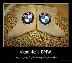 Vienintelis BMW, - kuris, ko gero, šią žiemą nepadarys avarijos 