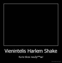 Vienintelis Harlem Shake - Kuris tikrai neužp**sa!
