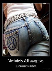 Vienintelis Volkswagenas - Kurį neatsisakyčiau pastumti