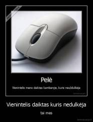 Vienintelis daiktas kuris nedulkėja - tai mes