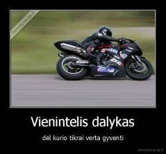 Vienintelis dalykas - dėl kurio tikrai verta gyventi