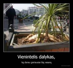 Vienintelis dalykas, - ką darau geriausiai šią vasarą