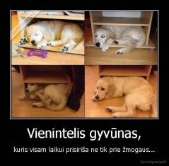 Vienintelis gyvūnas, - kuris visam laikui prisiriša ne tik prie žmogaus...