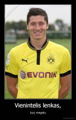 Vienintelis lenkas, - kurį mėgstu