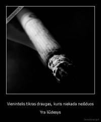 Vienintelis tikras draugas, kuris niekada neišduos - Yra liūdesys