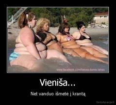 Vieniša... - Net vanduo išmetė į krantą