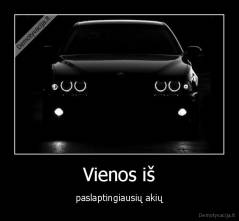 Vienos iš - paslaptingiausių akių