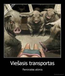 Viešasis transportas - Feministės akimis