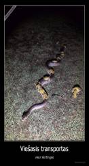 Viešasis transportas - visur skirtingas