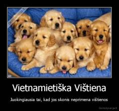 Vietnamietiška Vištiena - Juokingiausia tai, kad jos skonis neprimena vištienos