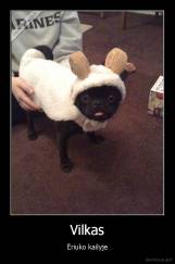 Vilkas - Ėriuko kailyje