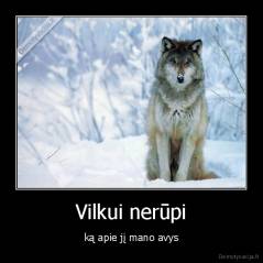 Vilkui nerūpi - ką apie jį mano avys