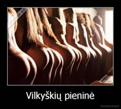 Vilkyškių pieninė - 