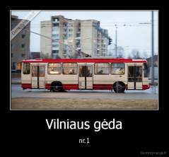 Vilniaus gėda - nr.1