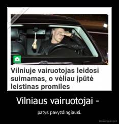 Vilniaus vairuotojai -  - patys pavyzdingiausi.