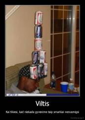 Viltis - Kai tikiesi, kad niekada gyvenime taip smarkiai nenusmigsi