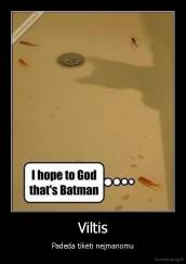 Viltis - Padeda tikėti neįmanomu