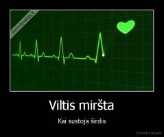 Viltis miršta - Kai sustoja širdis