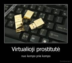 Virtualioji prostitutė - nuo kompo prie kompo