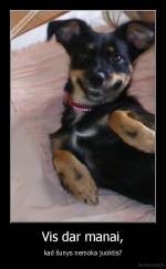 Vis dar manai, - kad šunys nemoka juoktis?