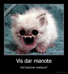 Vis dar manote - kad kačiukai mieliausi?