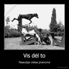 Vis dėl to - Pasaulyje viskas įmanoma