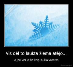 Vis dėl to laukta žiema atėjo... - o jau visi kalba kaip laukia vasaros