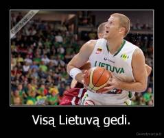 Visą Lietuvą gedi. - 
