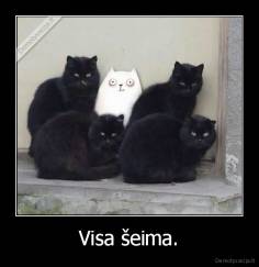 Visa šeima. - 
