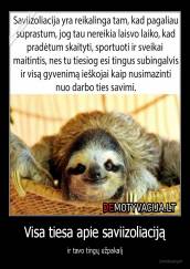 Visa tiesa apie saviizoliaciją - ir tavo tingų užpakalį