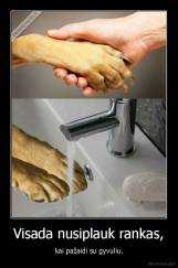 Visada nusiplauk rankas, - kai pažaidi su gyvuliu.