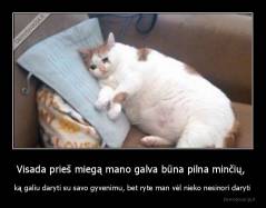 Visada prieš miegą mano galva būna pilna minčių,  - ką galiu daryti su savo gyvenimu, bet ryte man vėl nieko nesinori daryti