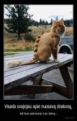 Visada svajojau apie nuosavą drakoną, - bet tėvai padovanojo man katiną...