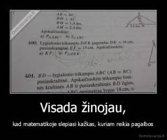 Visada žinojau, - kad matematikoje slepiasi kažkas, kuriam reikia pagalbos