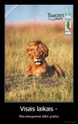 Visais laikais - - Mes stengiamės išlikti gražūs