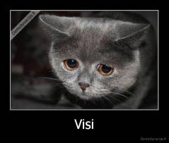 Visi - 