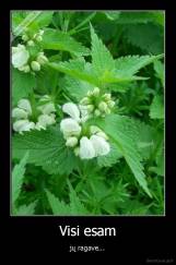 Visi esam - jų ragave...