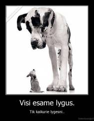 Visi esame lygus. - Tik kaikurie lygesni..