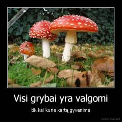 Visi grybai yra valgomi - tik kai kurie kartą gyvenime