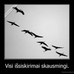 Visi išsiskirimai skausmingi. - 