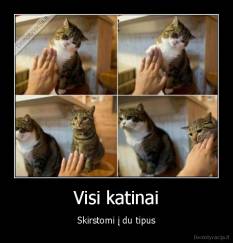 Visi katinai - Skirstomi į du tipus
