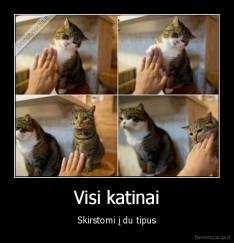Visi katinai - Skirstomi į du tipus