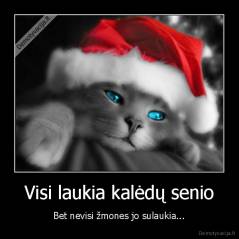 Visi laukia kalėdų senio - Bet nevisi žmones jo sulaukia...