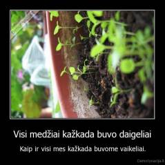 Visi medžiai kažkada buvo daigeliai - Kaip ir visi mes kažkada buvome vaikeliai.