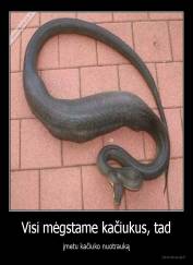 Visi mėgstame kačiukus, tad - įmetu kačiuko nuotrauką