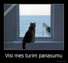 Visi mes turim panasumu - 