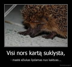 Visi nors kartą suklysta, - - mastė ežiukas lipdamas nuo kaktuso...