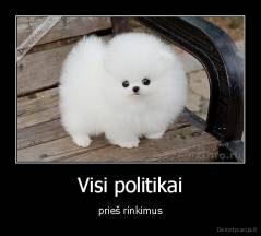 Visi politikai - prieš rinkimus